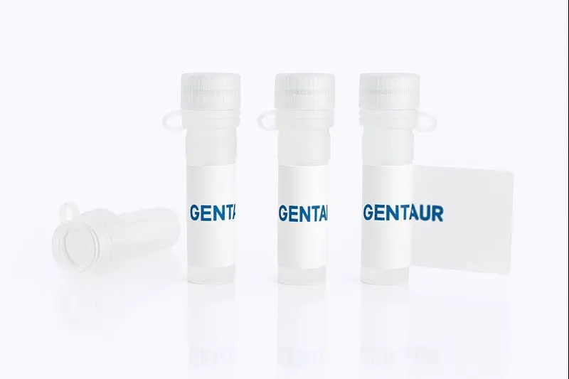 I-309/CCL1, Human (CHO)