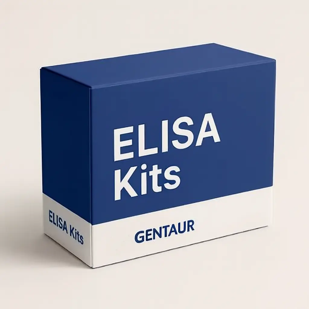 Human proteasome (prosome, macropain) subunit beta type 1 (PSMb1) ELISA Kit